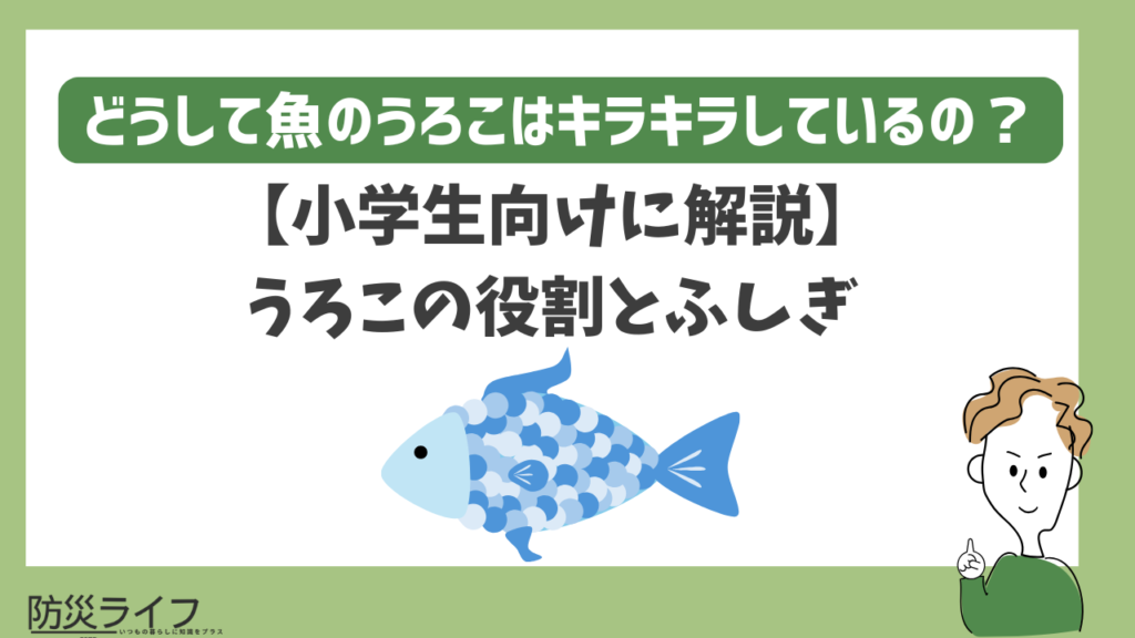 魚のうろこはなぜキラキラする？小学生向けに役割を解説